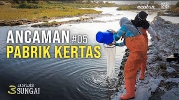 ANCAMAN PABRIK KERTAS – Ekspedisi 3 Sungai #05