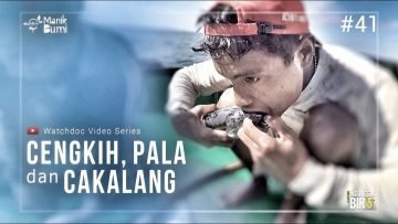 CENGKIH, PALA, DAN CAKALANG – Ekspedisi Indonesia Biru #41