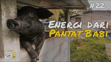 ENERGI DARI PANTAT BABI – Ekspedisi Indonesia Biru #22