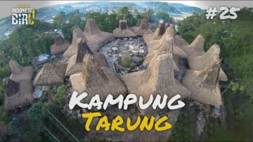 KAMPUNG TARUNG – Ekspedisi Indonesia Biru #25