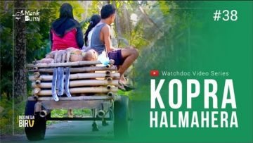 KOPRA HALMAHERA – Ekspedisi Indonesia Biru #38