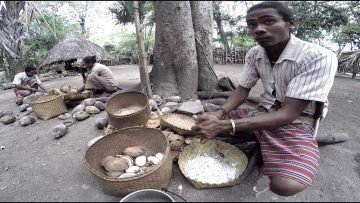 Membuat Minyak Goreng dan Minyak Rambut ala Boti