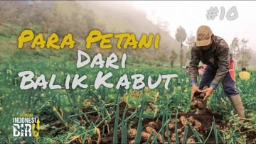 PARA PETANI DARI BALIK KABUT – Ekspedisi Indonesia Biru #10