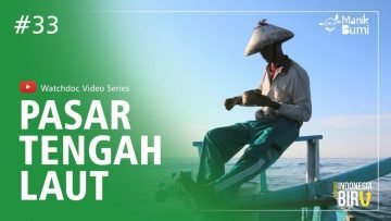 PASAR TENGAH LAUT – Ekspedisi Indonesia Biru #33