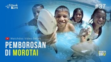 PEMBOROSAN DI MOROTAI – Ekspedisi Indonesia Biru #37