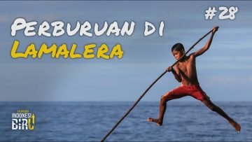 PERBURUAN DI LAMALERA – Ekspedisi Indonesia Biru #28
