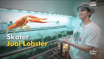 Skater Jual Lobster