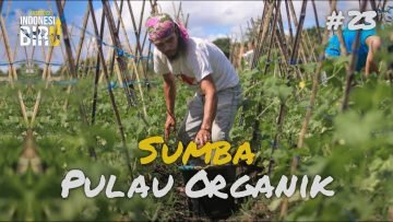 SUMBA PULAU ORGANIK – Ekspedisi Indonesia Biru #23