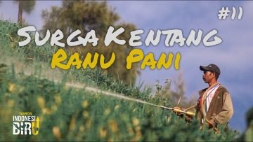 SURGA KENTANG RANU PANI – Ekspedisi Indonesia Biru #11
