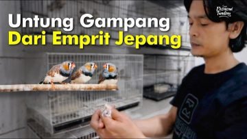 Untung Gampang Dari Emprit Jepang