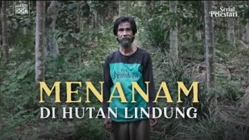 PELESTARI – Menanam di Hutan Lindung