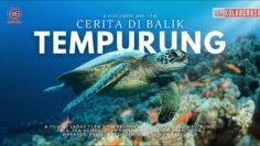 CERITA DI BALIK TEMPURUNG